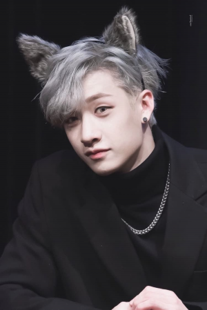 1b8b8d69 C7e9 47f2 Bb2b 382f8ed13c83jpeg — bang chan hair colors option 1