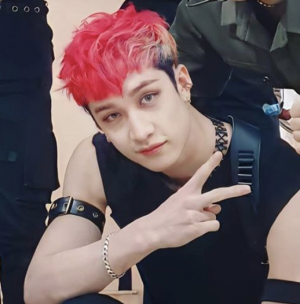 5706541c 38a9 4107 942a Aeaae8a71033jpeg — bang chan hair colors option 3