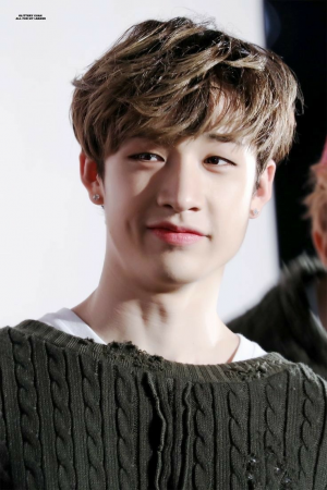 65817f3c 205a 49b5 9728 660be0805986jpeg — bang chan hair colors option 5