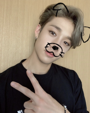 C85dad6d A845 4b15 B350 5751d98681c9jpeg — bang chan hair colors option 9
