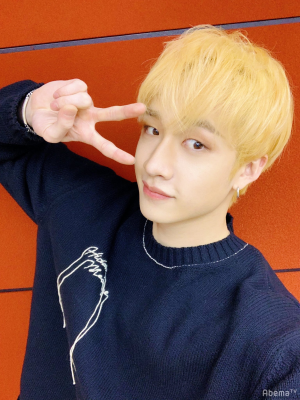 E00645d2 05c8 4cbb 8ab7 0873776a0c32jpeg — bang chan hair colors option 11