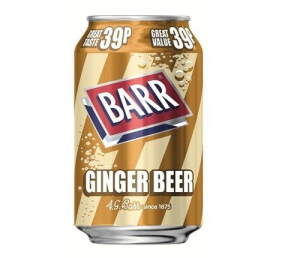 Ginger Beerjpg — barr drinks option 10