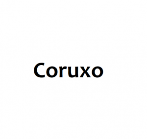 Coruxopng — Barrios de Vigo option 8