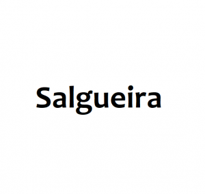 Zz1594597056salgueirapng — Barrios de Vigo option 27