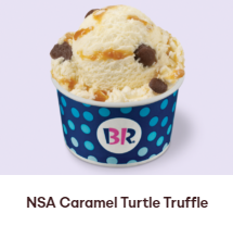 NSA Caramel Turtle Truffle - Baskin Robbins Canada