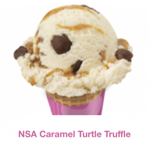Screen Shot 2020 06 11 At 114036 Ampng — Baskin Robbins Ice Cream Flavours option 12