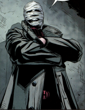 Hushpng — Batman Villains option 13