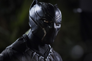 Zz1604002790blackpanther E1562324931731jpg — Batman VS Avengers option 34