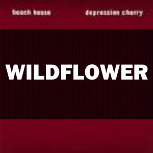 57png — beach house song option 47