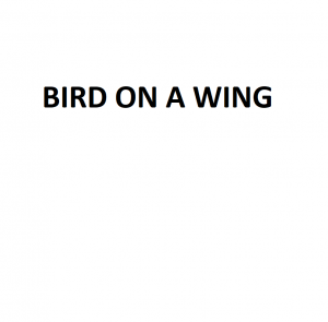 Birdon A Wingpng — Ben Howard Songs option 9
