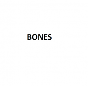 Bonespng — Ben Howard Songs option 11