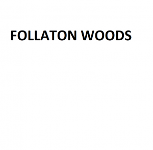 Follatonwoospng — Ben Howard Songs option 22