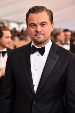Leo Dicapriojpg — Best Actors and Actresses of the 2010's option 32