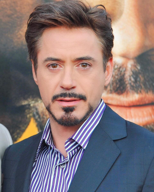Robert Downey Jrjpg — Best Actors and Actresses of the 2010's option 47