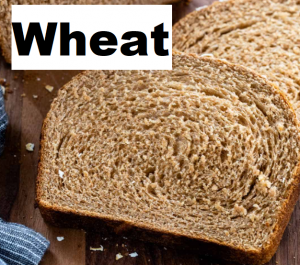 Wheatpng — Best Bread Products option 22