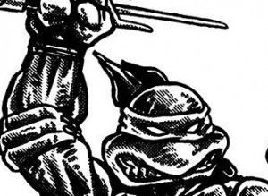 842c4f617c36bbcc6d403f20b8b53dbejpg — Best Tmnt Design option 16