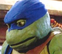 Nmleojpg — Best Tmnt Design option 36