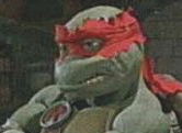 Temp21807058275jpg — Best Tmnt Design option 38