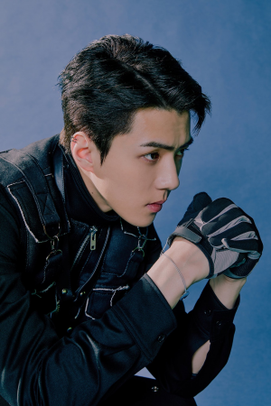 24c5f5aa 440d 44f4 B5c7 8bede40fa7edjpeg — Best Vocal in EXO option 1