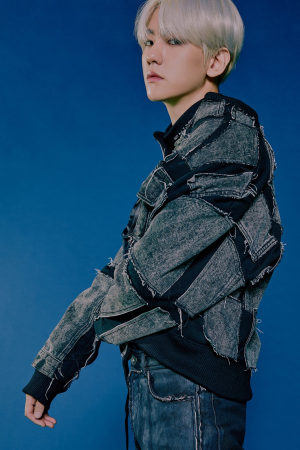 Da4c2048 77a5 42f6 A0f1 51ce09bdebb1jpeg — Best Vocal in EXO option 6