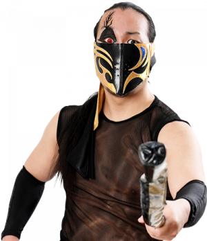 20210706135649png — Best Wrestlers In The World (Men's) option 50