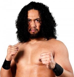 20210706135859png — Best Wrestlers In The World (Men's) option 58