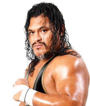 20210706141639png — Best Wrestlers In The World (Men's) option 65