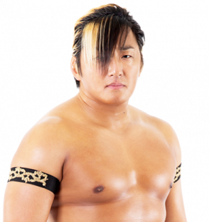20210706142232png — Best Wrestlers In The World (Men's) option 85