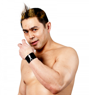 20210706142313png — Best Wrestlers In The World (Men's) option 87