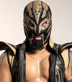 20210707130034jpg — Best Wrestlers In The World (Men's) option 274