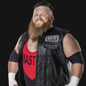 Davemastiffpro 2982400c702daed1942e9e8a07e9dbf9png — Best Wrestlers In The World (Men's) option 318