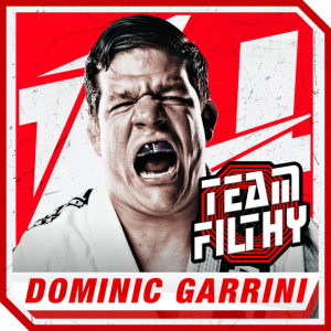Dominic Garrinipng — Best Wrestlers In The World (Men's) option 325