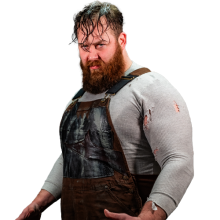 Dutch Biopng — Best Wrestlers In The World (Men's) option 331