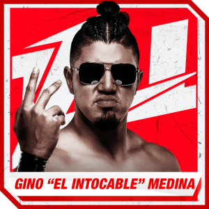 Ginopng — Best Wrestlers In The World (Men's) option 345
