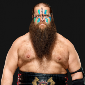 Hansonpro 4635b9ad154df75d761f687931212d4epng — Best Wrestlers In The World (Men's) option 349