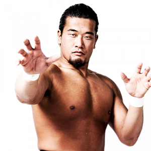 Profilehiguchikazusadapng — Best Wrestlers In The World (Men's) option 439
