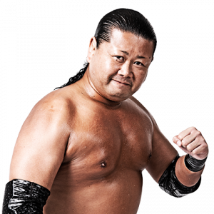 Profileowashitorupng — Best Wrestlers In The World (Men's) option 455