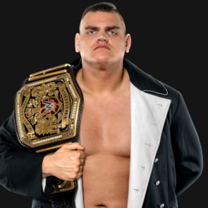 Walterprotitle 81c4a7cda16984b8148110cd24e8cbd6png — Best Wrestlers In The World (Men's) option 516