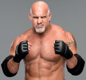 Zz162946483020210820150515jpg — Best Wrestlers In The World (Men's) option 544