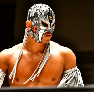 Zz1633601707skywalker2020jpg — Best Wrestlers In The World (Men's) option 588
