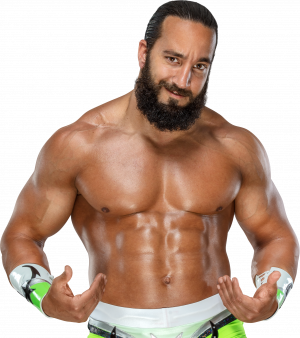 Zz1635290164ddvaheo Da9672f0 42f4 43a3 856a B1f3f8aea60fpng — Best Wrestlers In The World (Men's) option 677