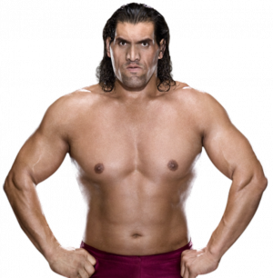 Db6oi85 32d4de00 97b6 4739 81c1 4aab9d313345png — BEST WWE/ WWF WRESTLERS OF ALL TIME 1997 - 2013 option 21
