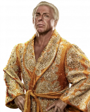 Superstar Categorysuperstar562x408ricflairpng — BEST WWE/ WWF WRESTLERS OF ALL TIME 1997 - 2013 option 43