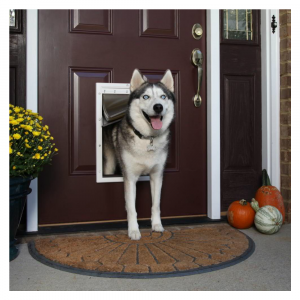 1dpngpng — better door tier list option 1