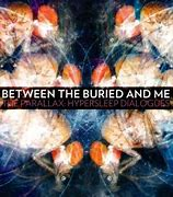 Btbam2011jpg — Between The Buried And Me discography option 6