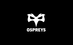 16398f0d 4109 4c3a 92ac 15e35e631946jpeg — Biggest Rugby Clubs In Europe option 4