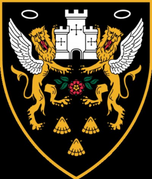 5c7e7f2a 0a45 4cc4 A718 31912d68e2d7png — Biggest Rugby Clubs In Europe option 15