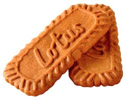 Lotusbiscuitjpeg — Biscuits (And Jaffa Cakes) option 16