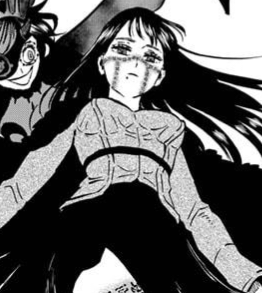 Zz16454030110294 012png — Black Clover Manga option 33