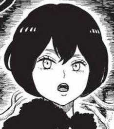 Zz16517047650089 008png — Black Clover Manga option 215
